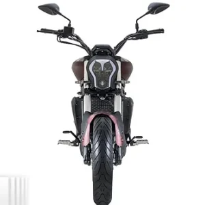 Benelli 502c: imagen 3