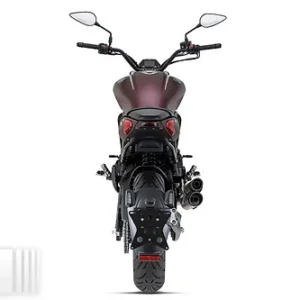 Benelli 502c: imagen 5